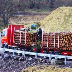 Timber Haulage