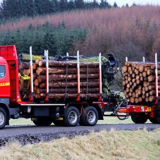 Timber Haulage